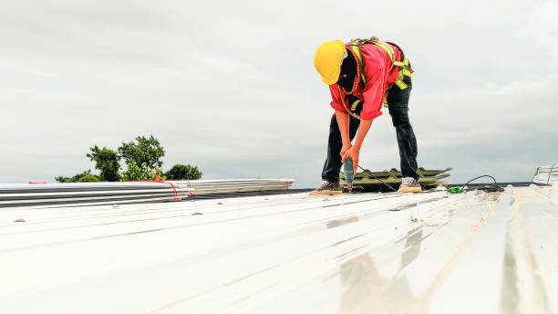 Best Tile Roofing Installation  in Pelican Rapids, MN