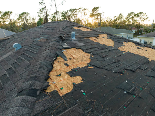 Best Sheet Metal Roofing  in Pelican Rapids, MN