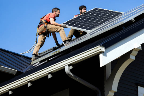 Best Skylight Installation and Repair  in Pelican Rapids, MN