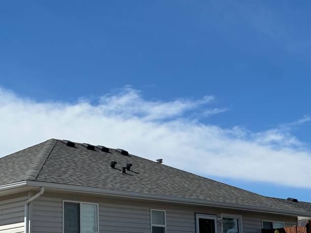 Best Roofing for New Construction  in Pelican Rapids, MN