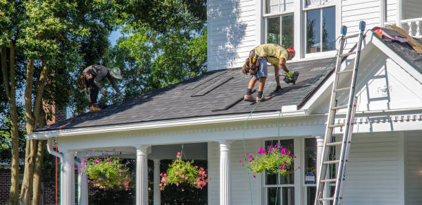 Best Roof Insulation Installation  in Pelican Rapids, MN